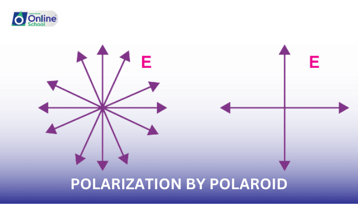 Lesson 14: Polarization by Polaroid